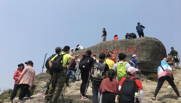 梧桐好风光，游人赏春忙