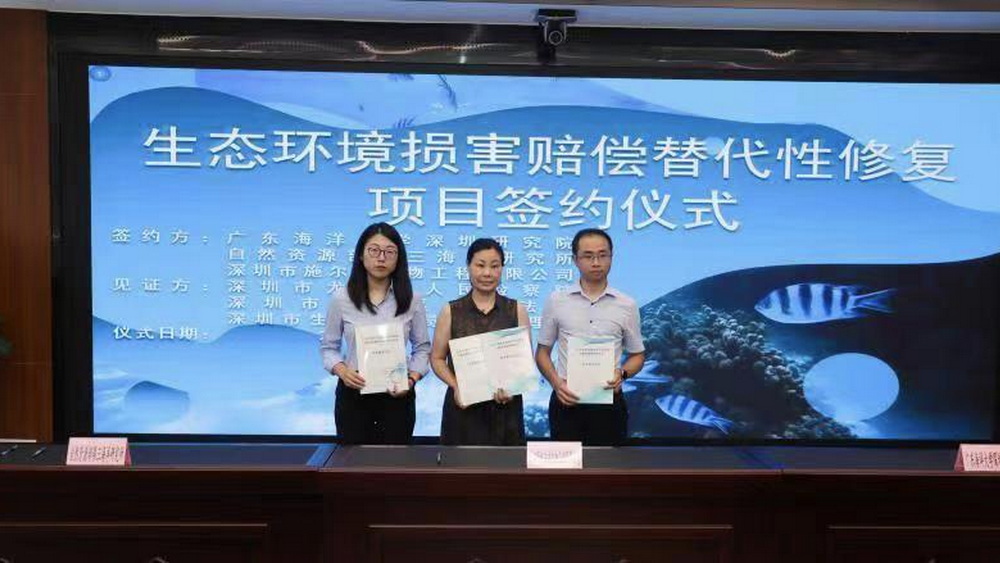 深圳这张“种珊瑚”罚单，很赞