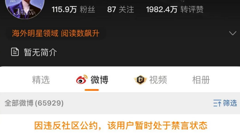 “定制飞机”“三分钟破百万” 说好的理性追星呢？