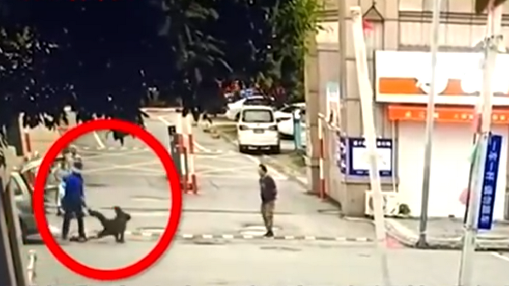 谁给了“协管员”摔翻老人的底气？！