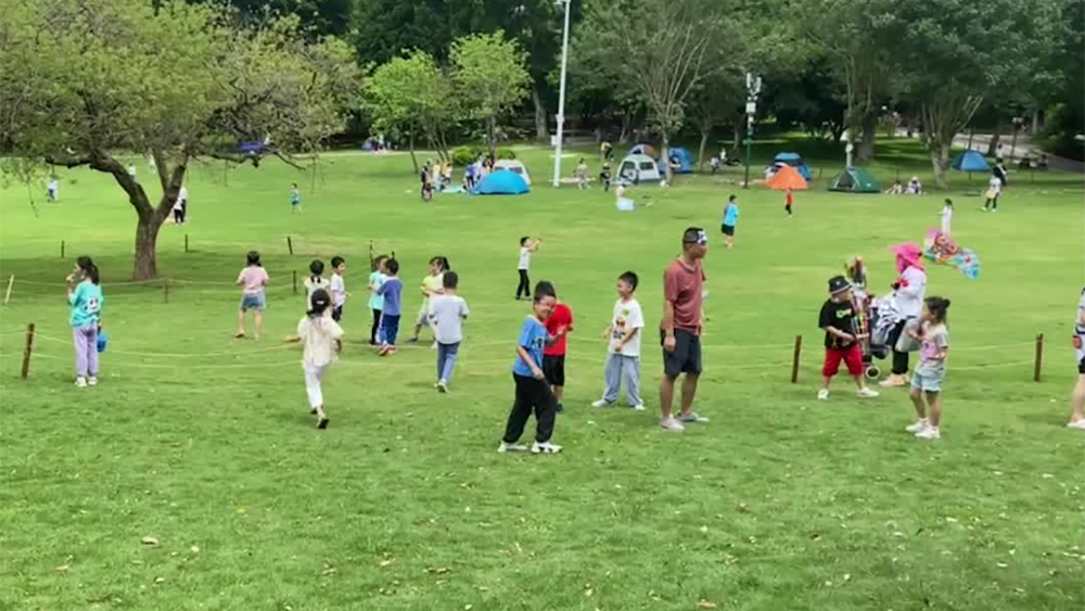 从1米高度看好深圳未来