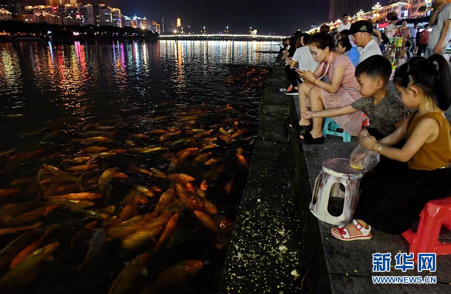 （环境）（4）福建福鼎：桐山溪畔人鱼同乐