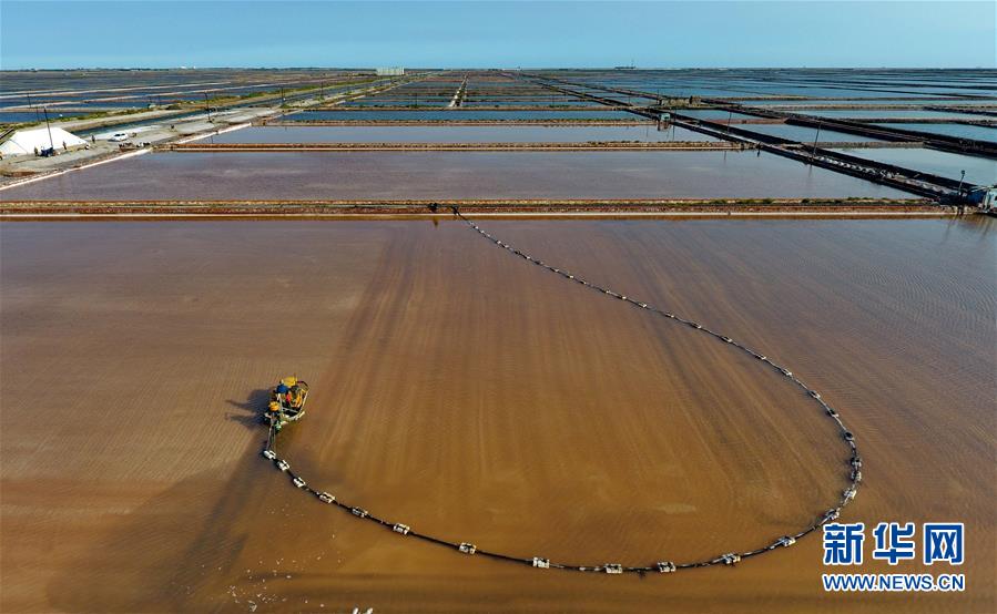 （经济）（4）收获海盐