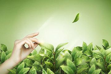 2018绿博会，十区联动展示深圳“绿”技术