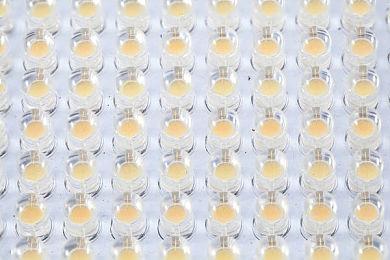 “三来一补”到行业领军者 深圳智造的“兆驰样本”