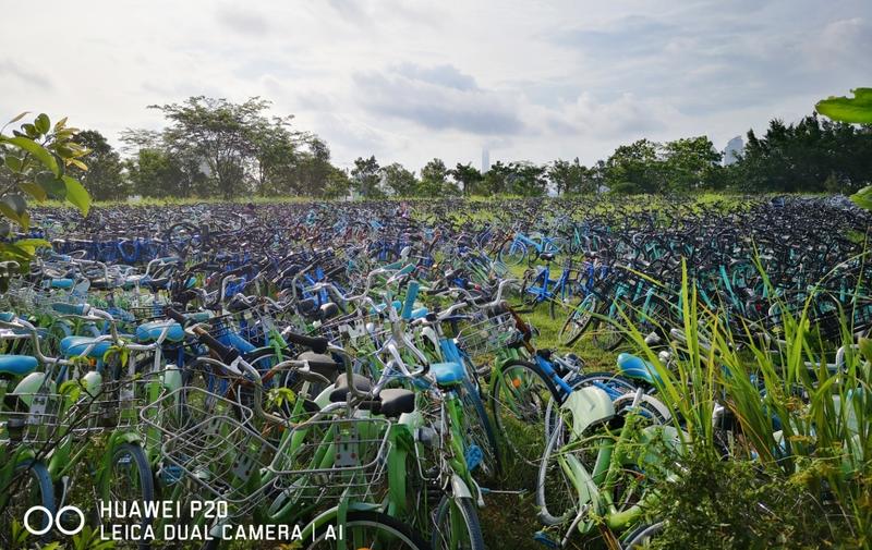 共享单车“堆尸”安托山公园？市交委将启动销毁程序