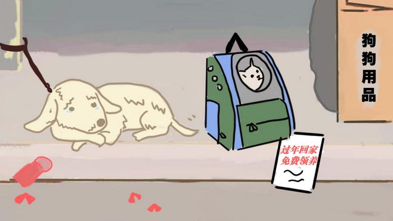 宠TA丨TA们，或许比你以为的深情得多