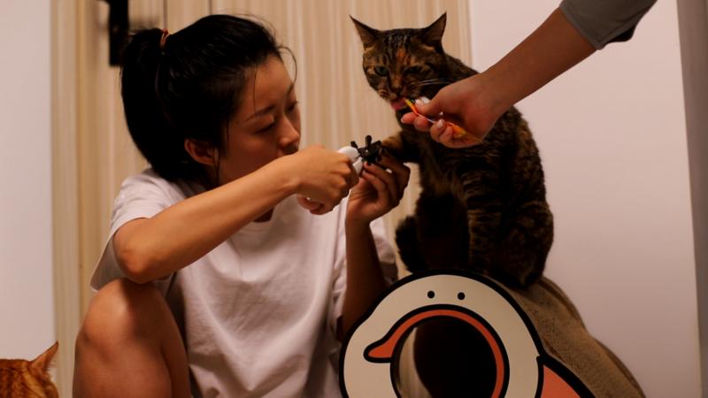 每天5分钟 手把手教你快乐剪指甲③