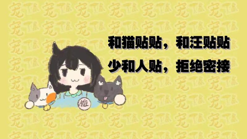 宠TA | 集中隔离可以带猫！一起看第一视角记录