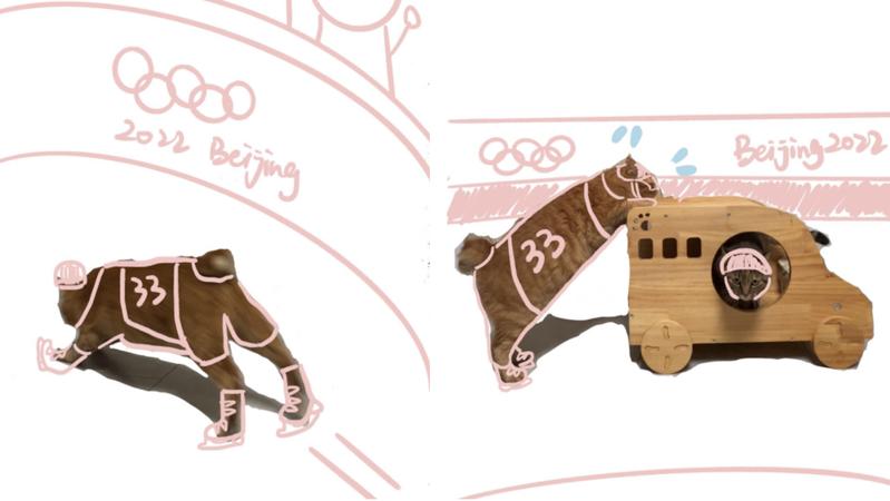 宠TA丨冬奥接近尾声 “喵星人”也来致敬运动员