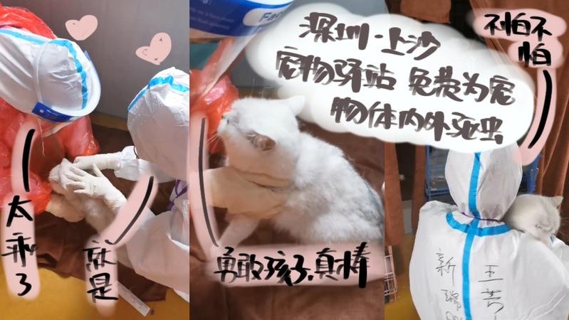 宠TA丨深圳上沙塘晏村宠物驿站对每只宠物进行体内外驱虫