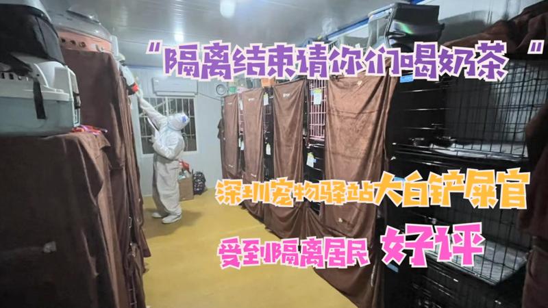 宠TA丨“隔离结束请你们喝奶茶！“ 大白铲屎官受隔离居民好评